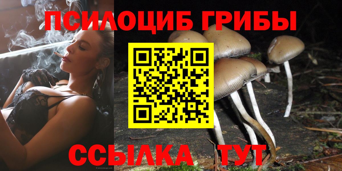 Псилоцибиновые грибы MAGIC MUSHROOMS  Галлюциногенные грибы Psilocybe  Вход с VPN  Чусовой 