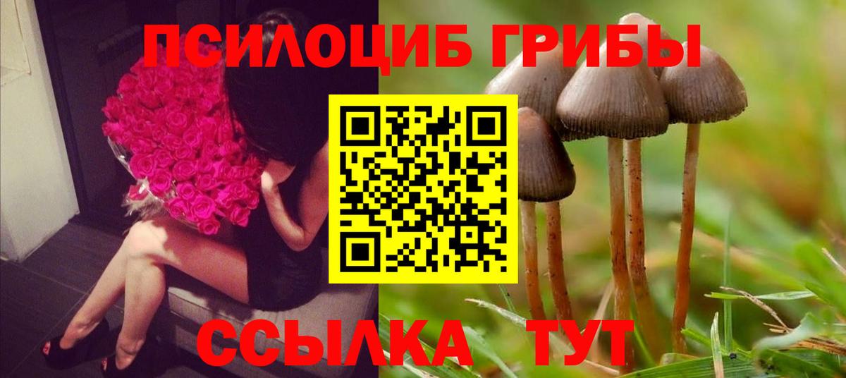 Псилоцибиновые грибы прущие грибы Чусовой